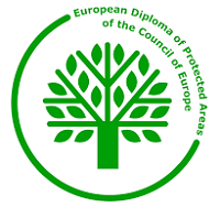 logo Diploma